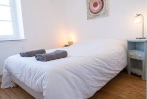 Chambre Gaïa – La Terre