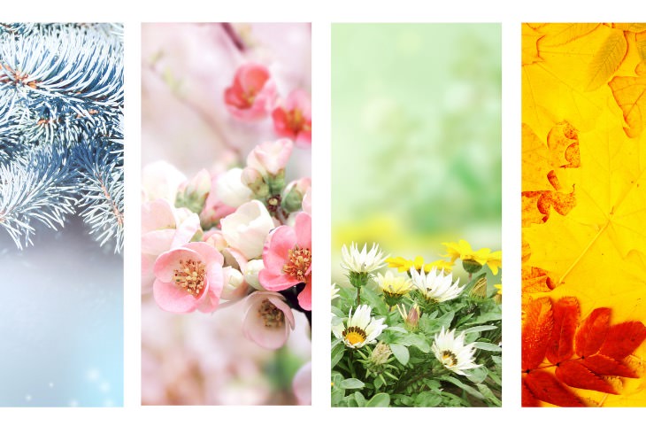 Au fil des saisons – Les 4 week-ends